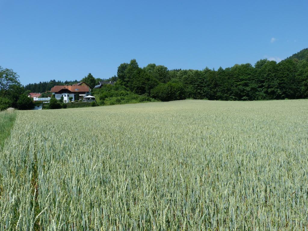 Ferienhaus Bluemel Inkl. Freier Strandbadeintritt Фельден-ам-Вёртер-Зе Экстерьер фото